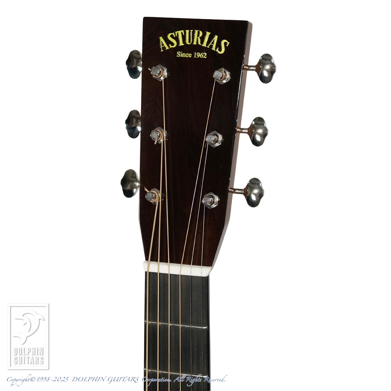 ASTURIAS Solo Herringbone （新品）【楽器検索デジマート】