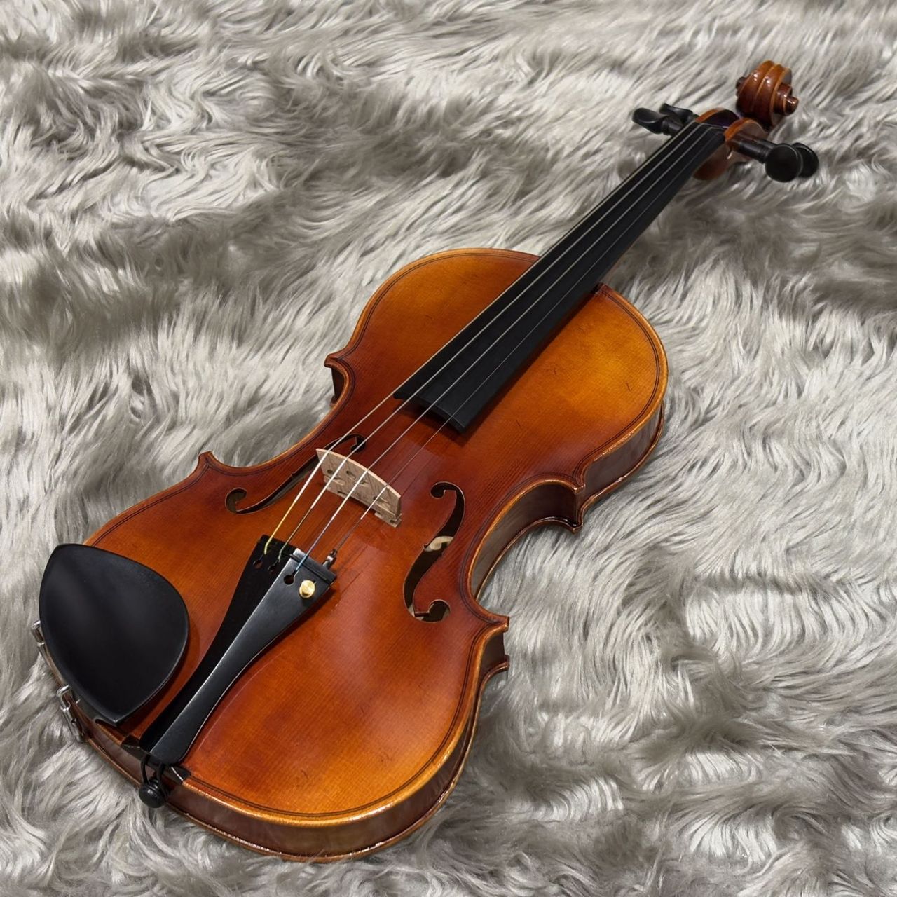 GEWA Meister 4/4 ヴァイオリン GEWA Meister II 4/4 バイオリンセット（新品/送料無料）【楽器