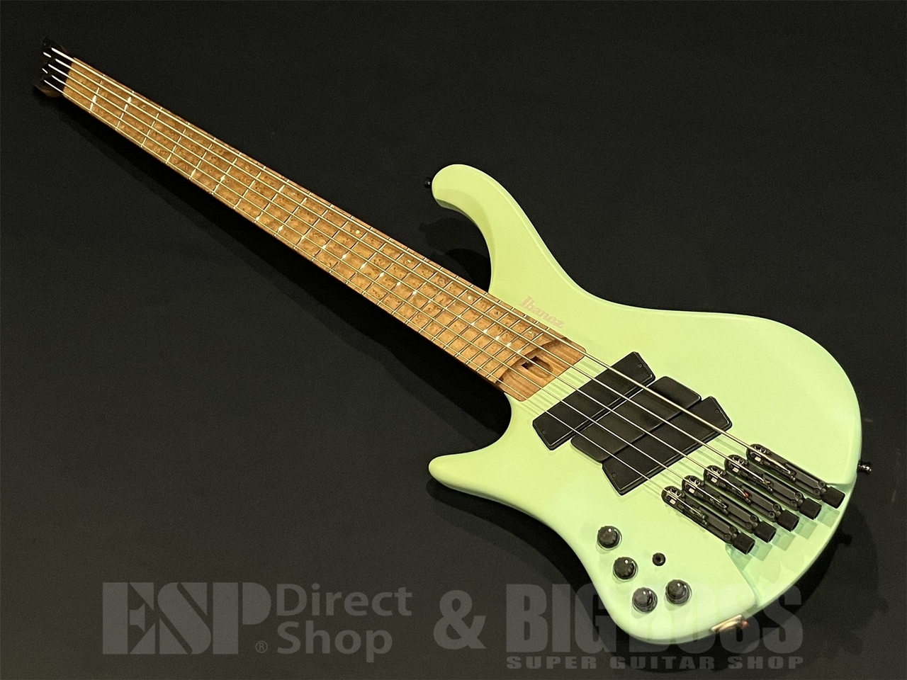 Ibanez EHB1005MSL-SFM – United States