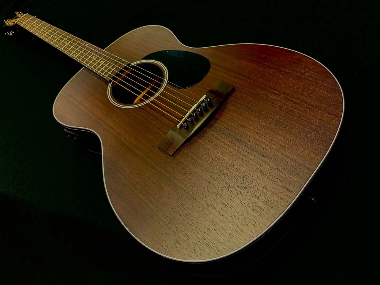 ARIA AF-105RWE N (Rosewood - Electric -/Natural )（新品特価/送料