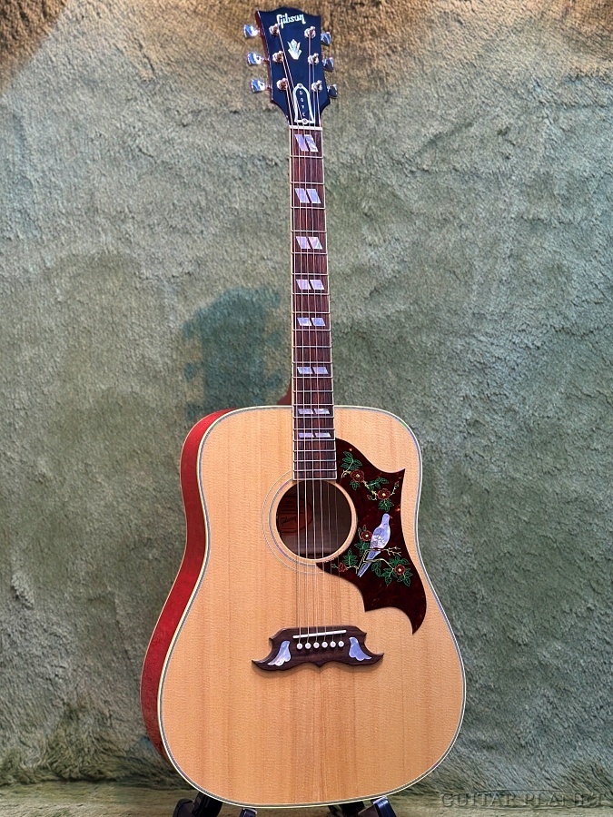 Gibson 【ケース小キズ特価!】Dove Original -Antique Natural