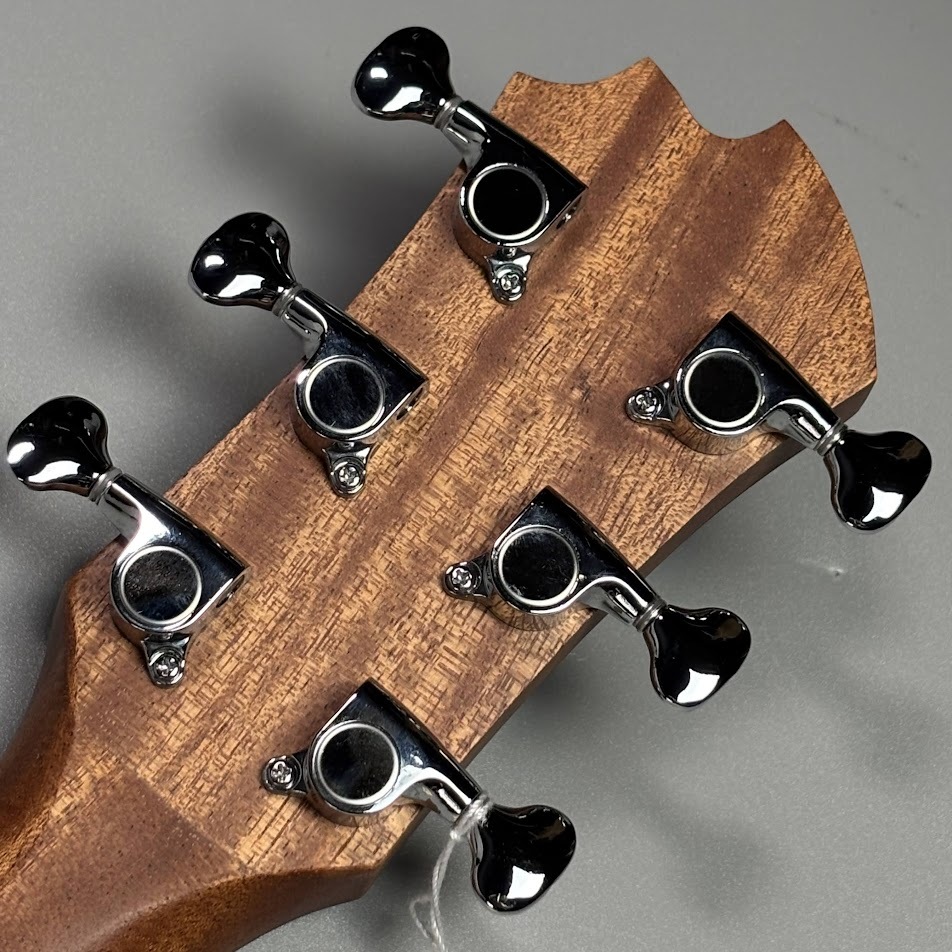 James J-300A II Earth Blue アコースティックギター トップ単板