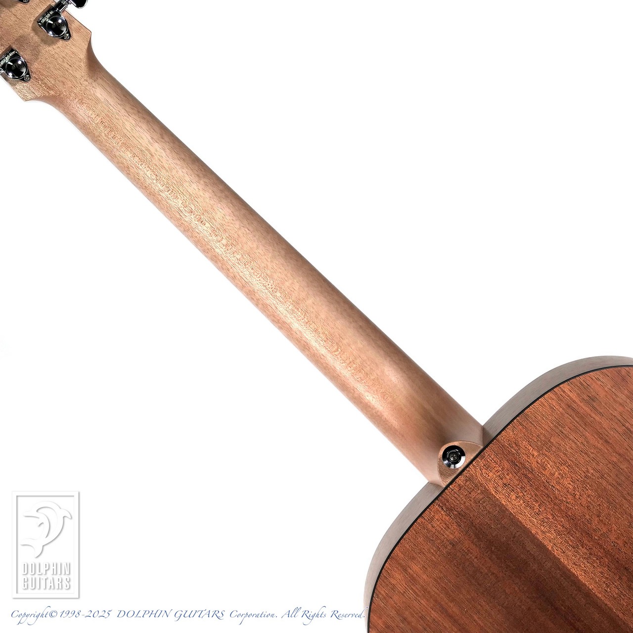 MATON S70【48回無金利対象品】（新品）【楽器検索デジマート】