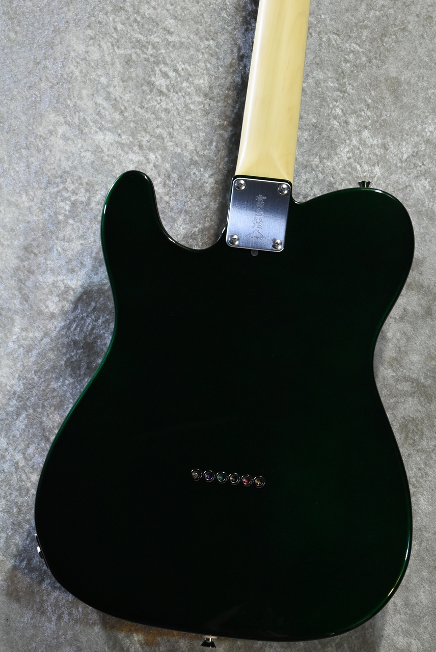FUJIGEN(FGN) NTE100RAL Candy Apple Green #E250084【3.45kg】【日本