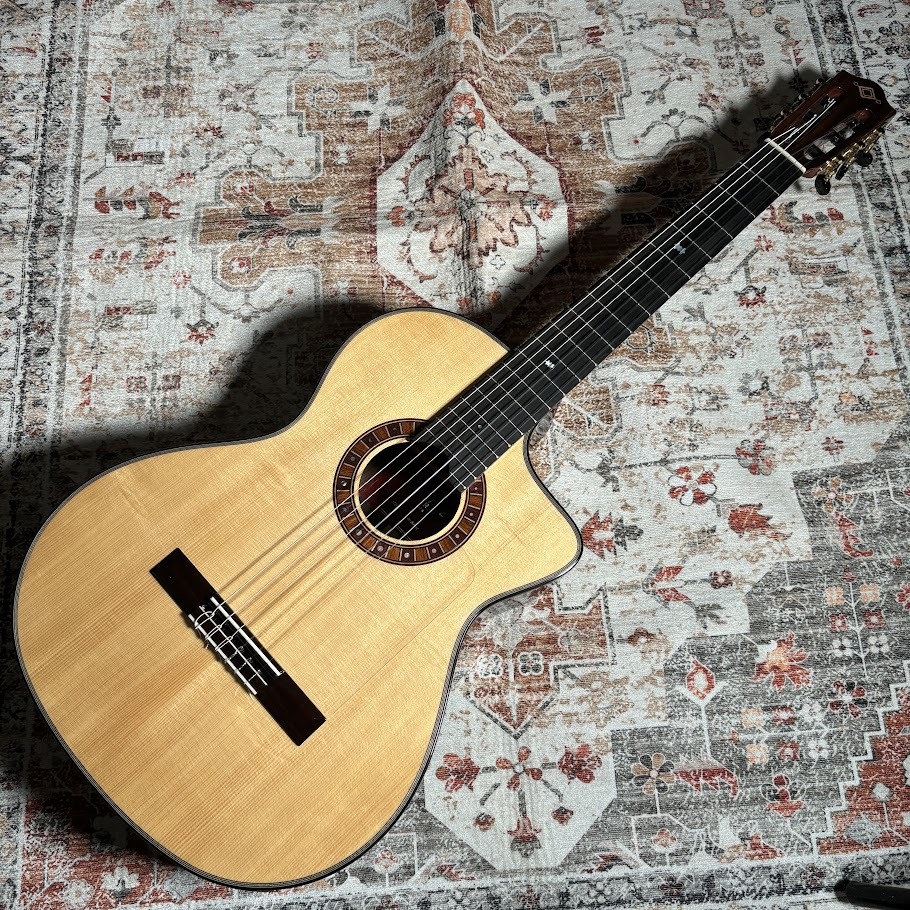 Martinez MP-12 Ziricote【現物画像】（中古/送料無料）【楽器検索