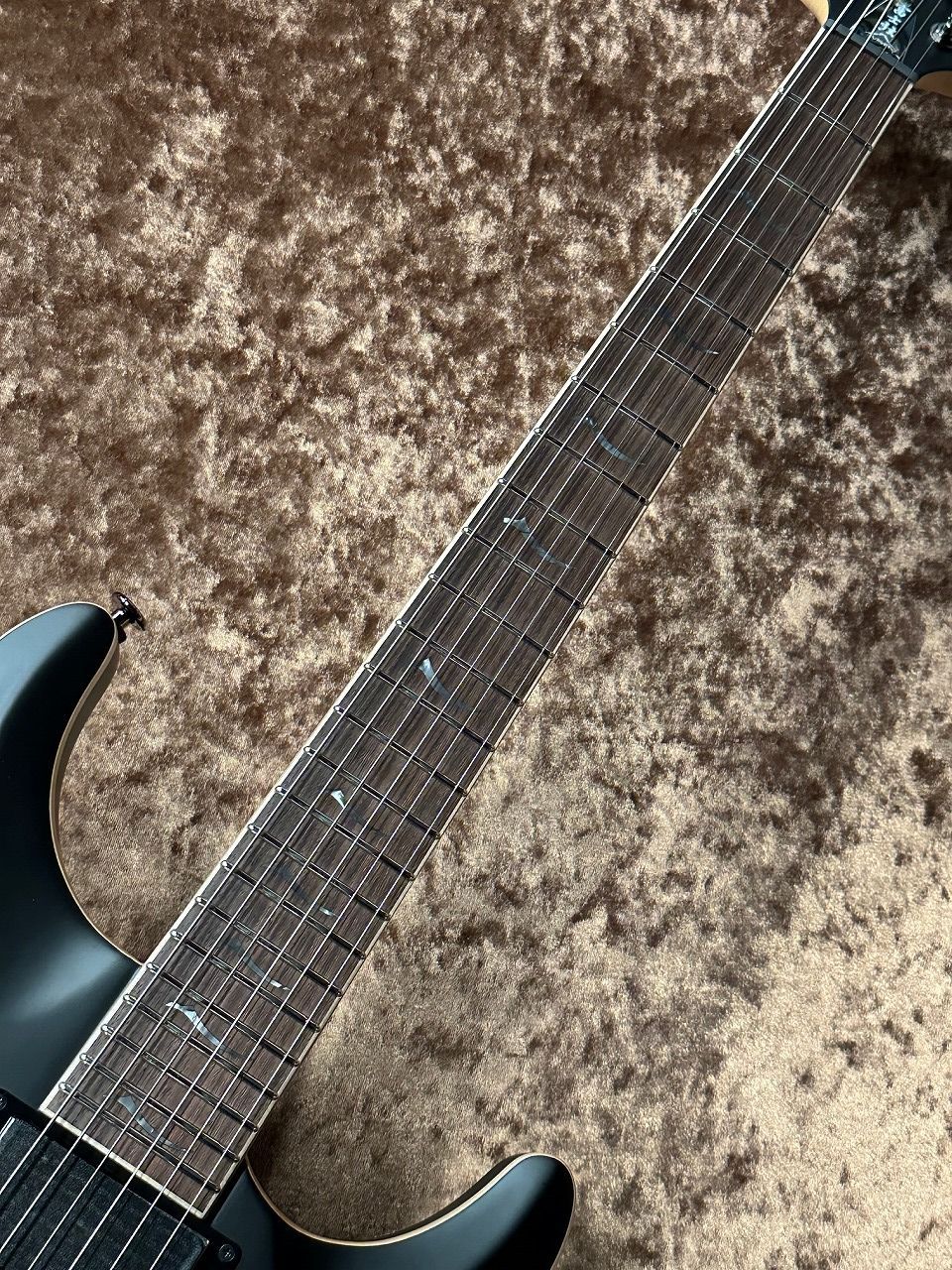 FUJIGEN(FGN) ELAN EXPERT EEL-DE/MBK ≒3.962Kg（新品/送料無料