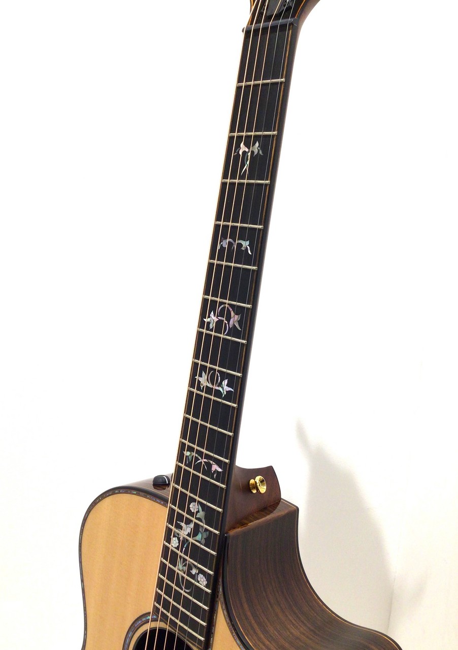Taylor 914ce Special Edition（新品/送料無料）【楽器検索デジマート】