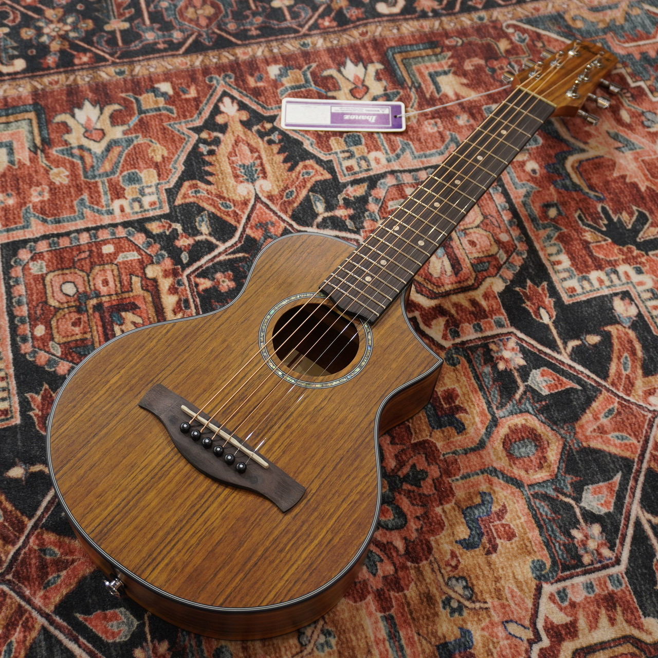 Ibanez EWP14WB-OPN (Open Pore Natural)【WINTER SELECTION特価