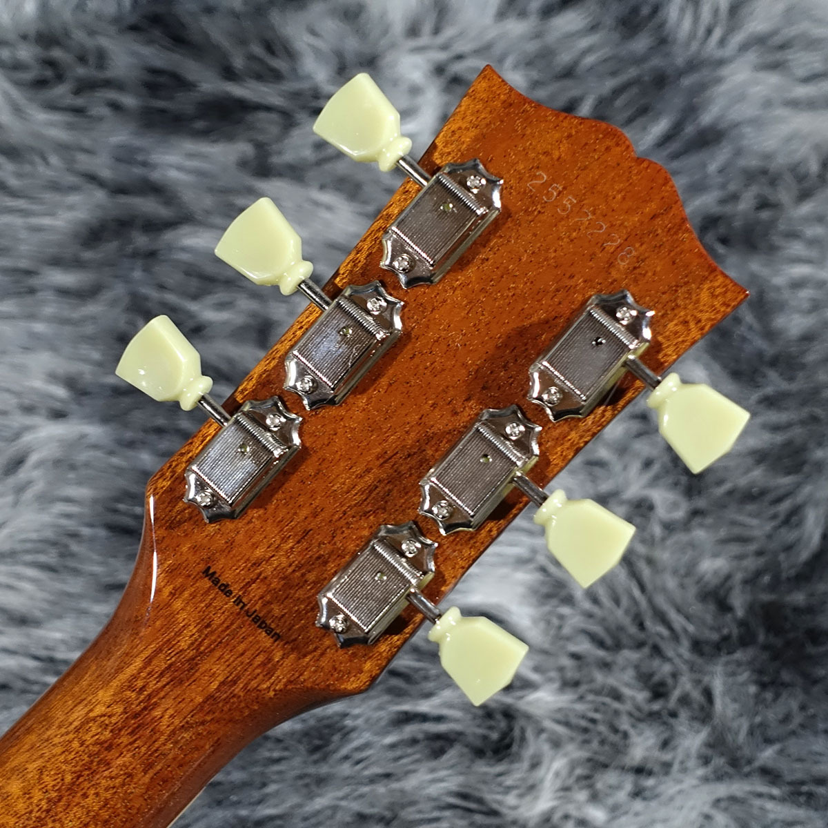 Tokai LS-101 GT（新品/送料無料）【楽器検索デジマート】