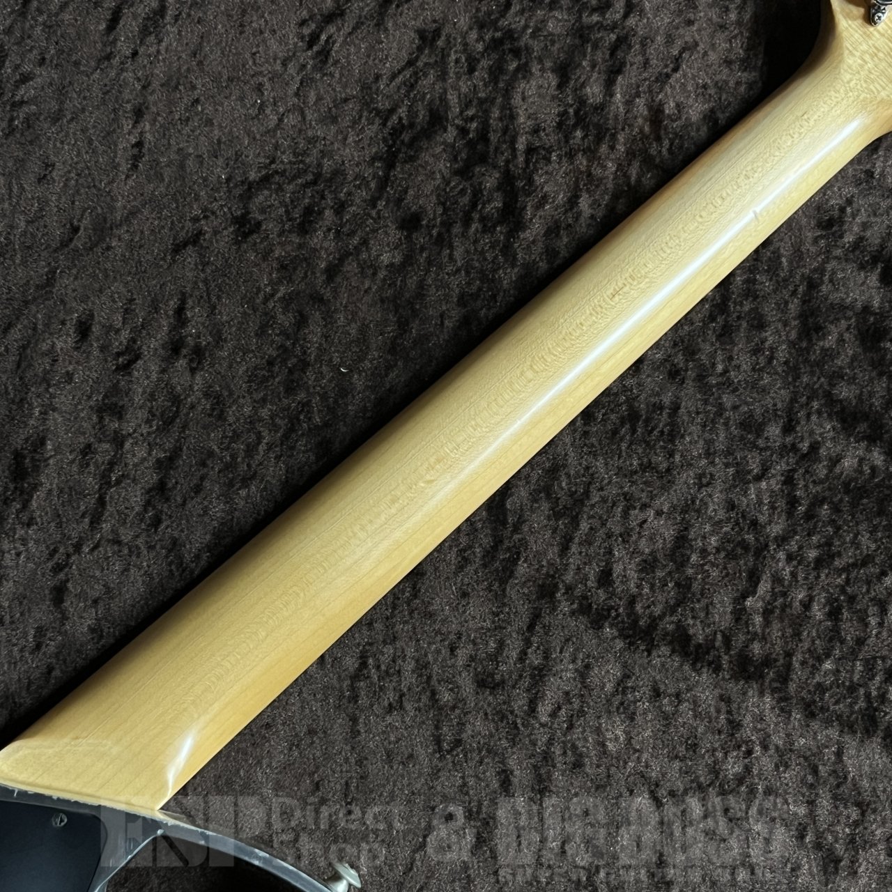 Tokai Z-TALBO Jr（中古/送料無料）【楽器検索デジマート】
