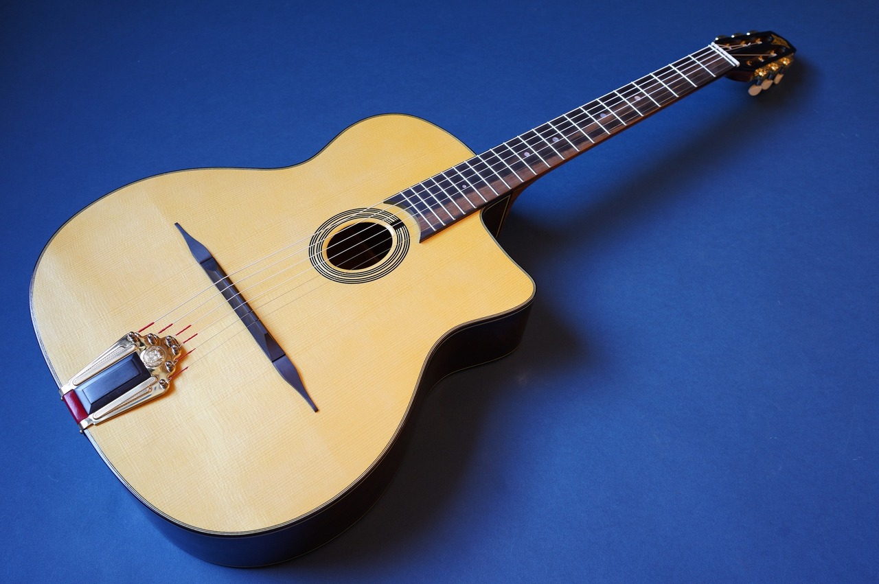 Stringphonic Advanced Oval 10th Anniversary（新品/送料無料）【楽器