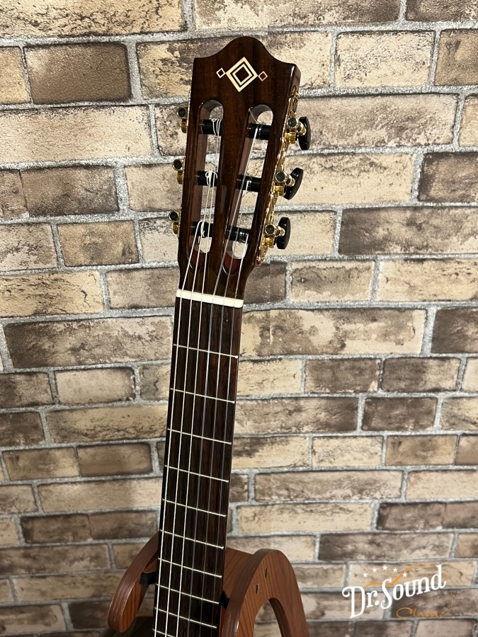 Martinez マルチネス MP-14 Rose （新品）【楽器検索デジマート】