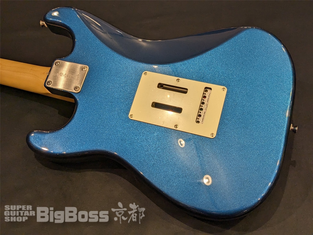 FUJIGEN(FGN) NST100RAL / Old Lake Placid（新品/送料無料）【楽器