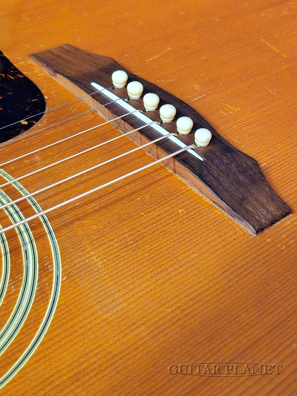 GUILD 1979 D-40 -Vintage!!-【48回迄金利0%対象】（ビンテージ/送料