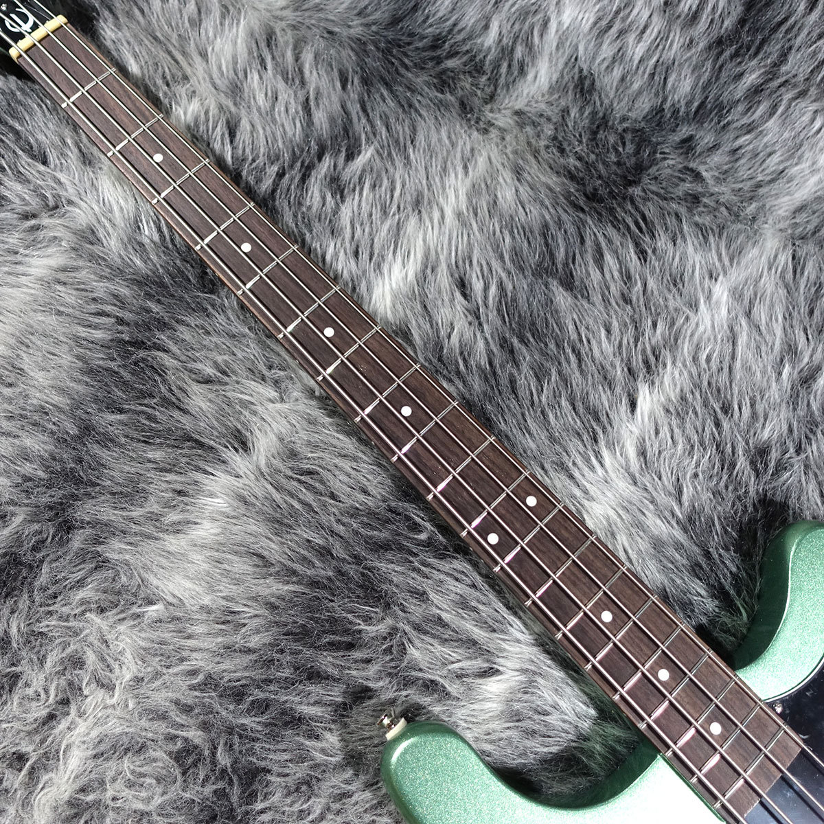 Epiphone Embassy Bass Wanderlust Green Metallic（新品/送料無料