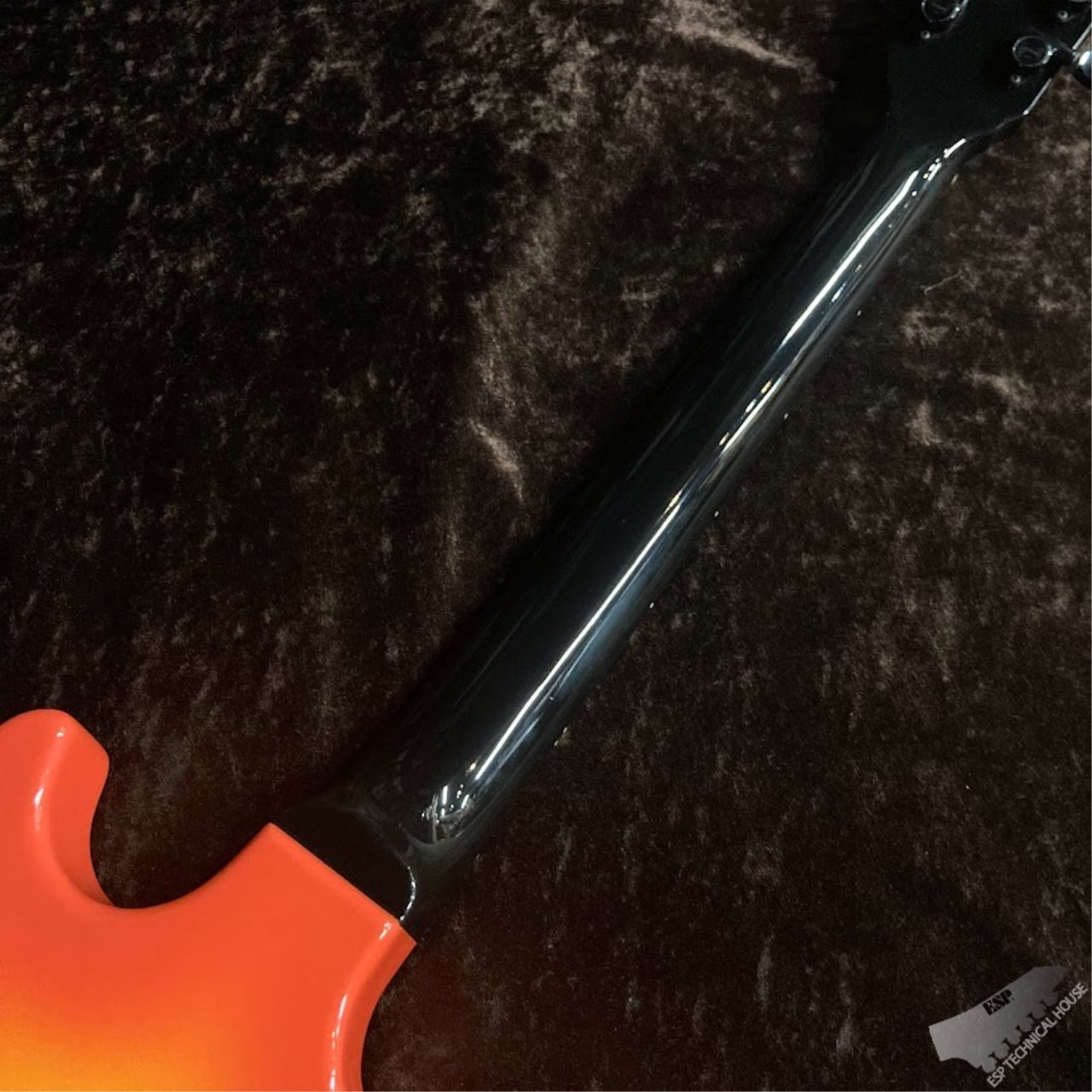 EDWARDS E-SR-Kellog【横山健Model】（中古/送料無料）【楽器検索