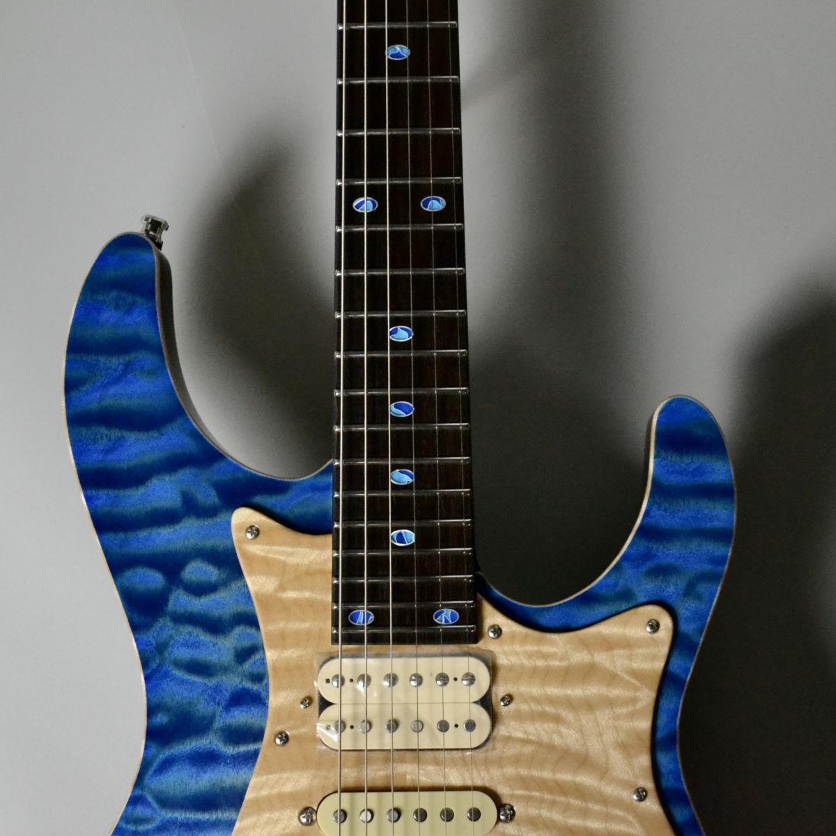 FREEDOM CUSTOM GUITAR RESEARCH Hydra Jacaranda Custom/SER