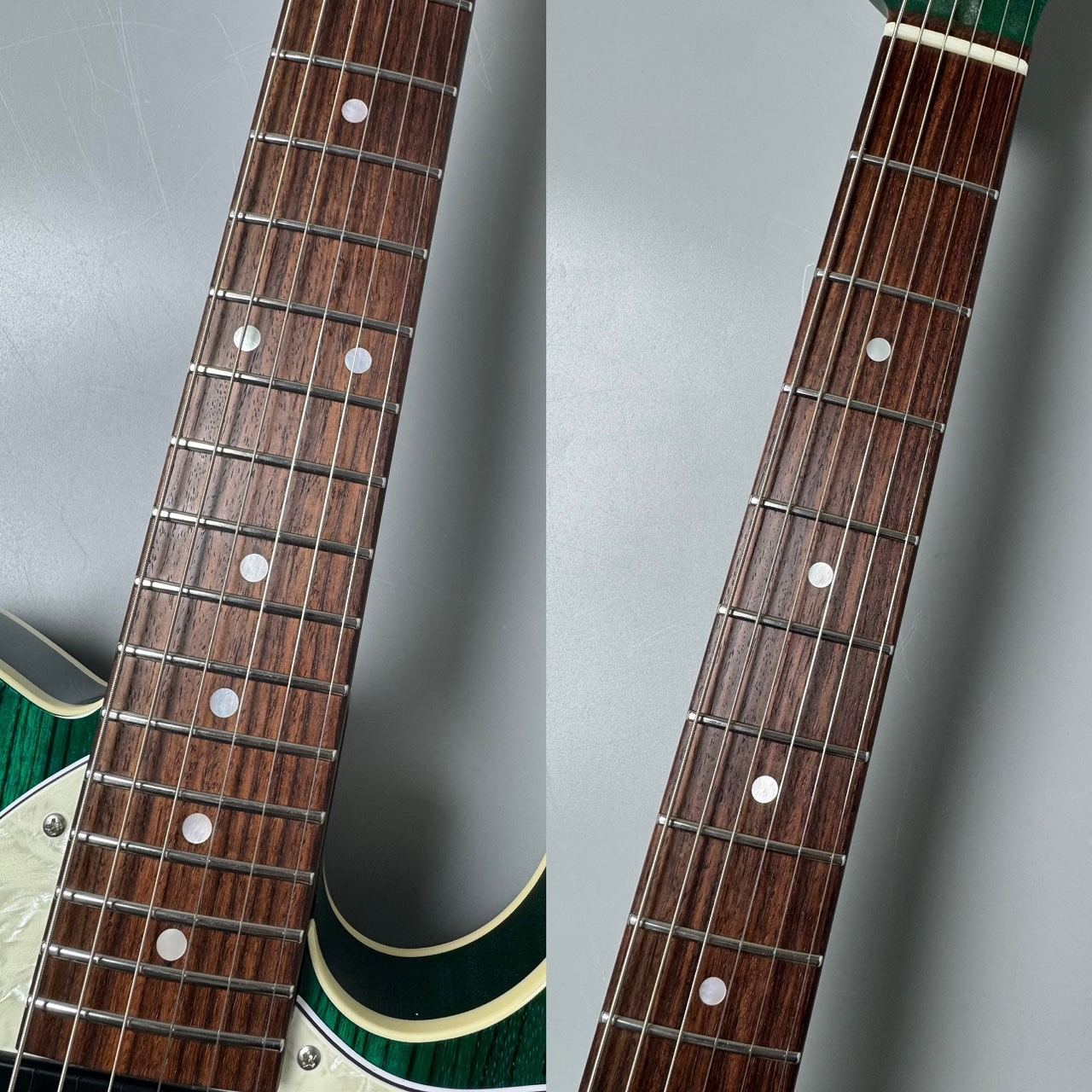 FREEDOM CUSTOM GUITAR RESEARCH C.S. TE Pepper Semi Hollow -Green