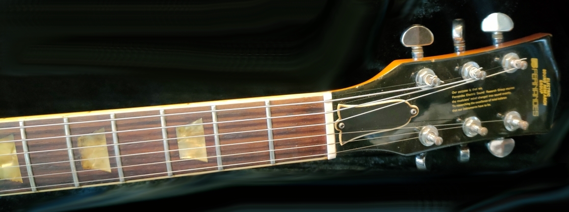 FERNANDES FLG-70GT（ビンテージ）【楽器検索デジマート】