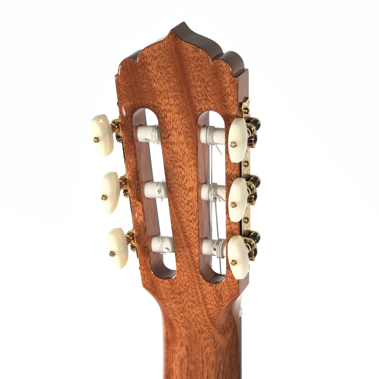 ASTURIAS Solo Classico Premio/S（新品）【楽器検索デジマート】