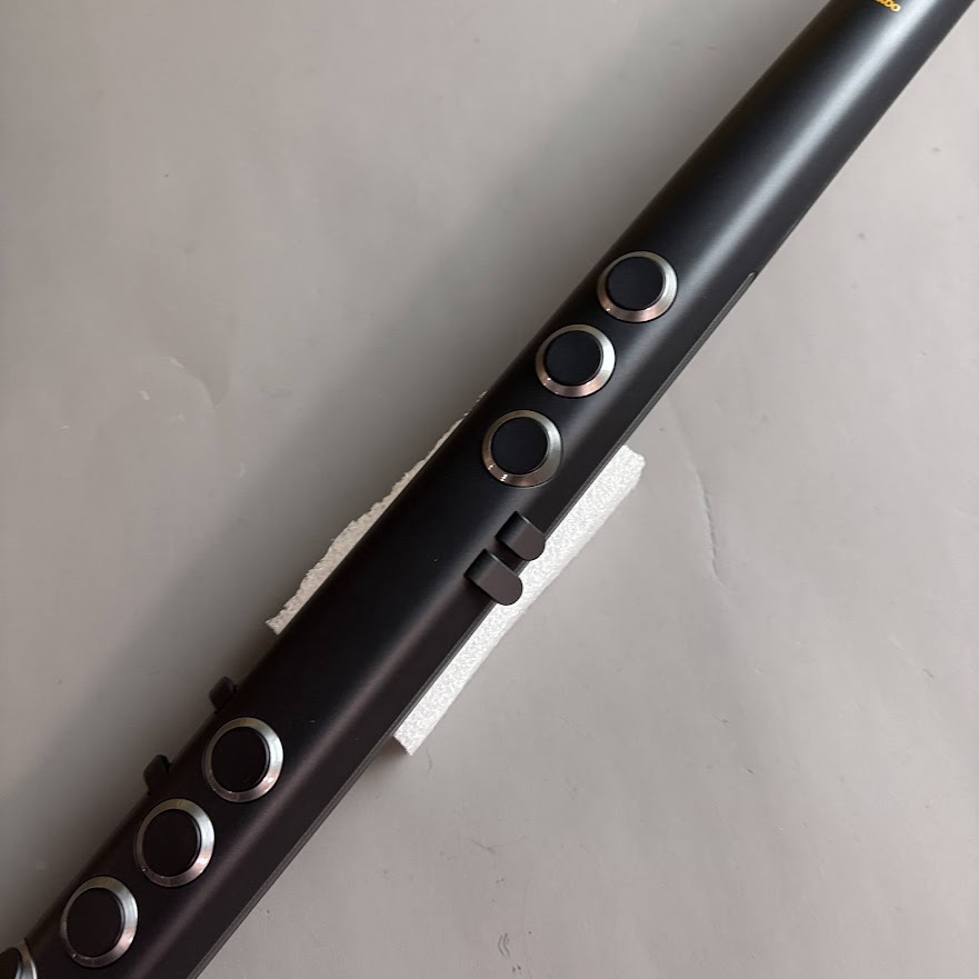 Robkoo R1（中古/送料無料）【楽器検索デジマート】