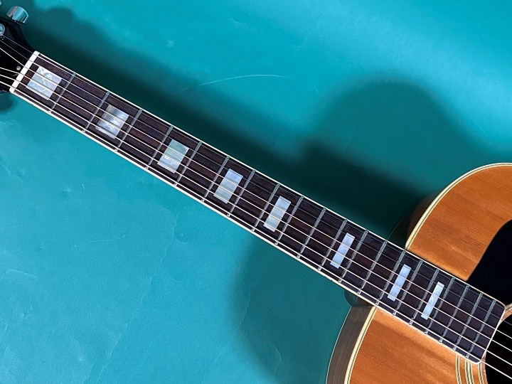 MOUNTAIN W-450（ビンテージ）【楽器検索デジマート】