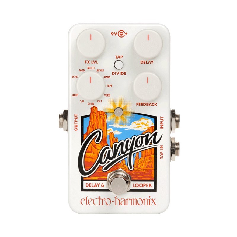 Electro-Harmonix Canyon [Delay & Loopers]