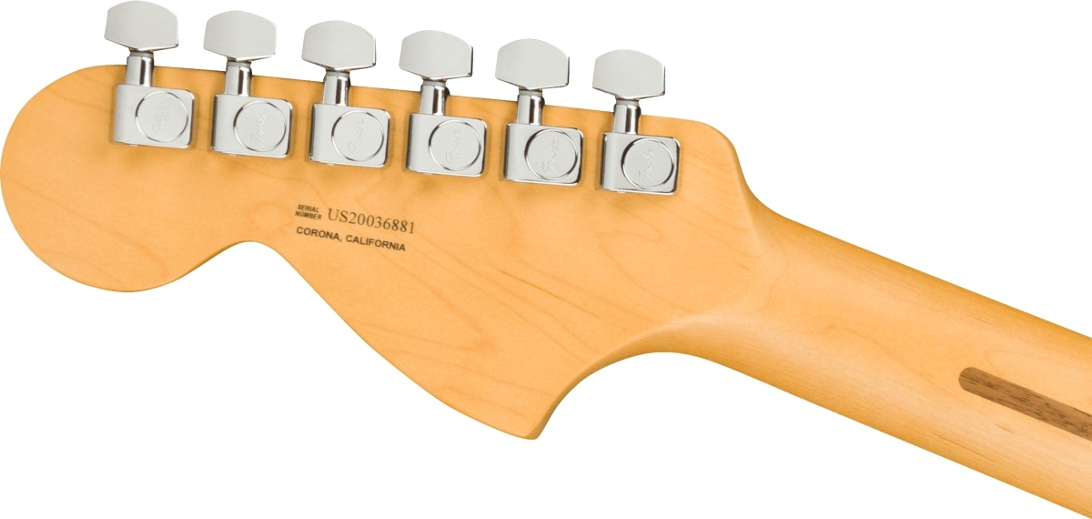 Fender American Professional II TL Deluxe Maple/F MSG（新品/送料