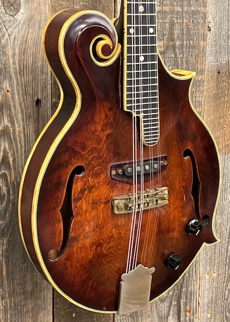 【超希少美品】70年代フジゲン製 Blue Bell エレクトリック・マンドリン BlueBell EM-12 Ca.1979（中古）【楽器検索デジマート】