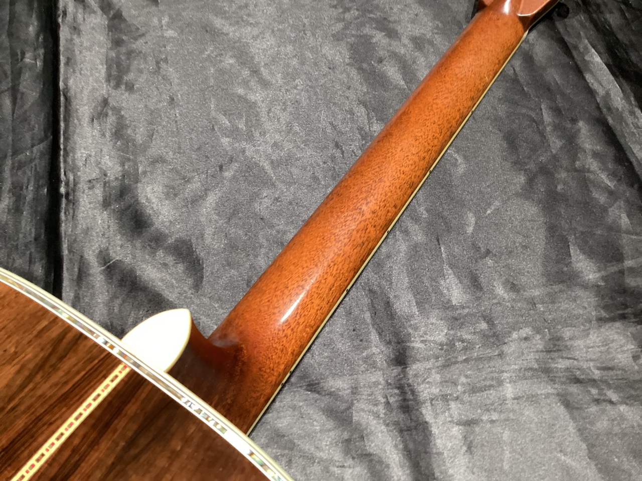 Morris TF-5000 ハカランダサイドバック（中古）【楽器検索