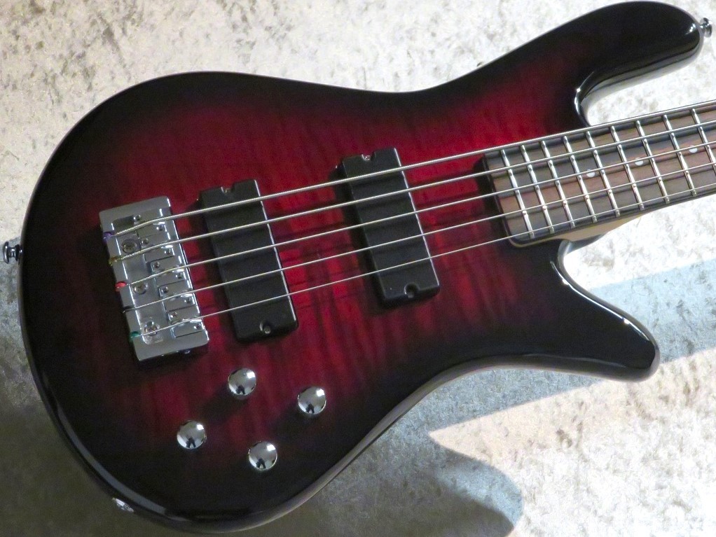 Spector Legend 5 Standard -Black Cherry-【5弦】【4.12kg】 （新品