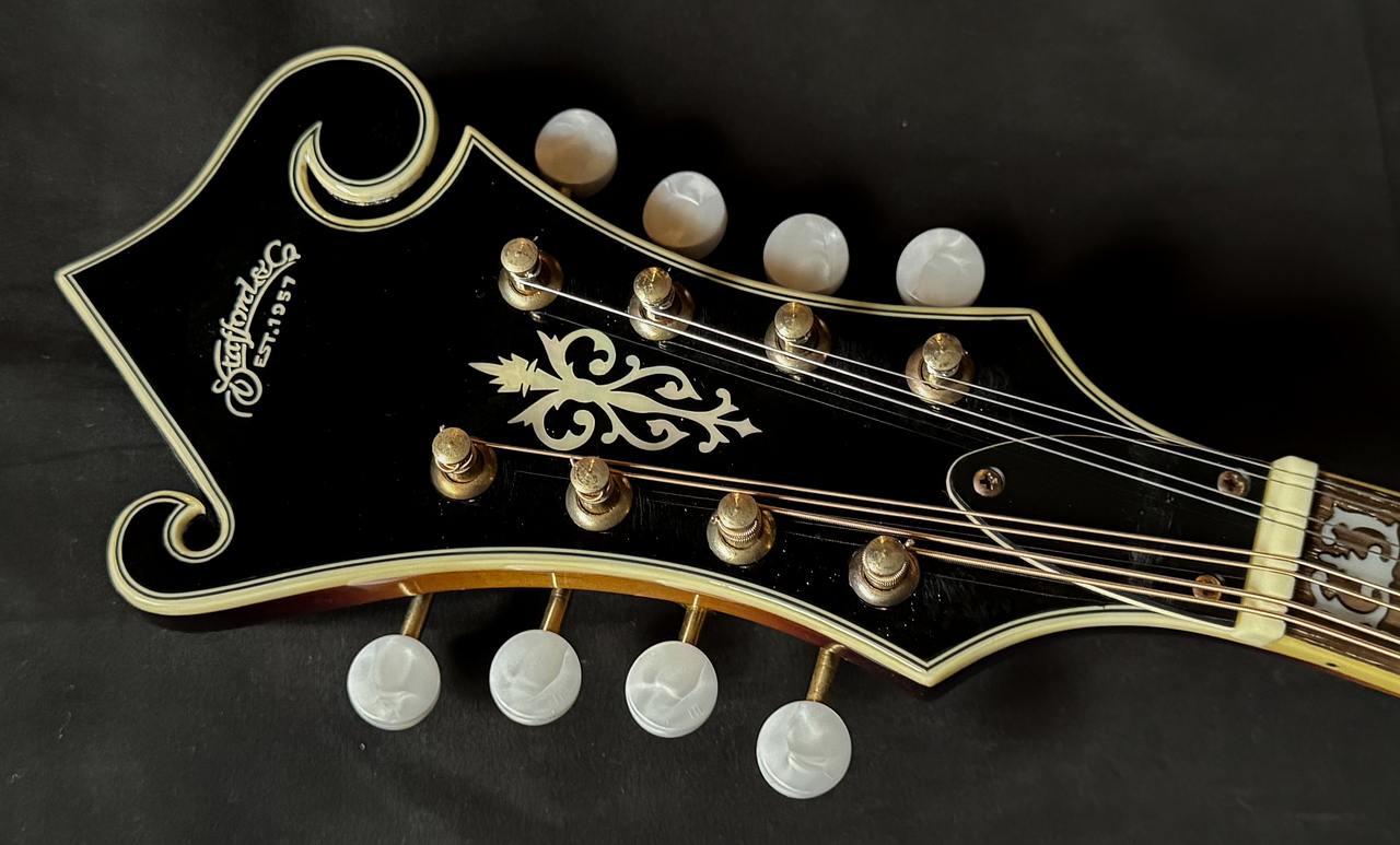 Stafford SF-FM Electric Model(中古)【楽器検索デジマート】 Stafford SF-FM Electric Model(中古)【楽器検索デジマート】