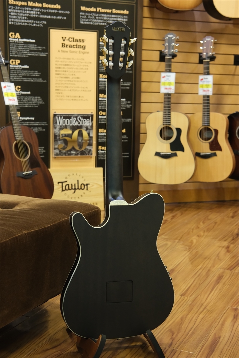 Ibanez TOD10N Tim Henson シグネチャー エレガットギター Ibanez TOD10N TKF エレガット Tim Henson Signature ティム