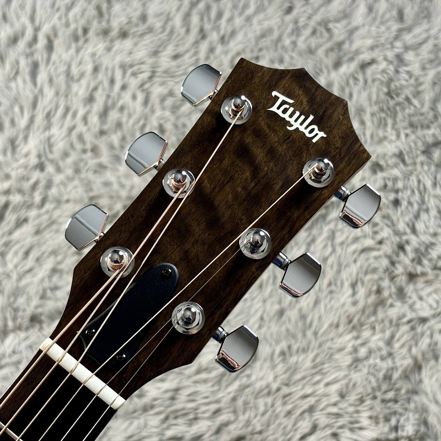 Taylor 114ce【実物画像】（新品/送料無料）【楽器検索デジマート】