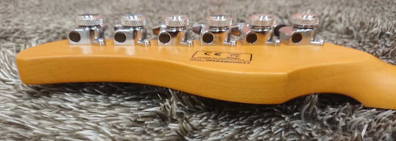 Sire Larry Carlton J5 WH (White)（新品/送料無料）【楽器検索