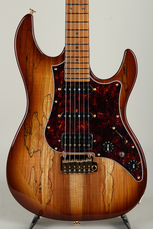 FUJIGEN(FGN) Expert ODYSSEY EOS2-EW1-HS-RM/HCB【S/N J250159