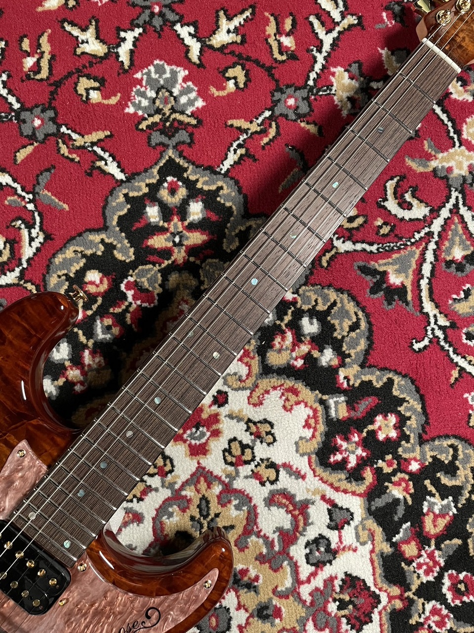 momose MC24-MV-EXOTIC MAPLE SP'23 /WG【現物画像】（新品）【楽器