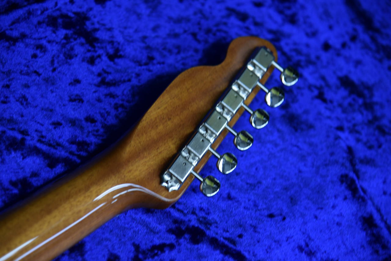 Tokai ATE103S N/R（新品）【楽器検索デジマート】