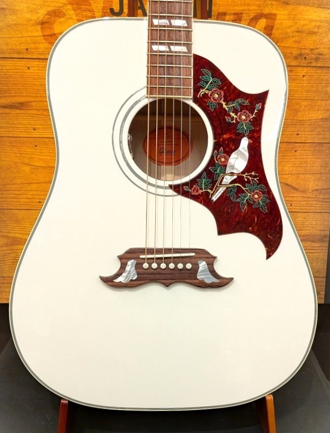 Gibson Custom Shop【ご購入特典アリ!】Dove Alpine White【限定製作
