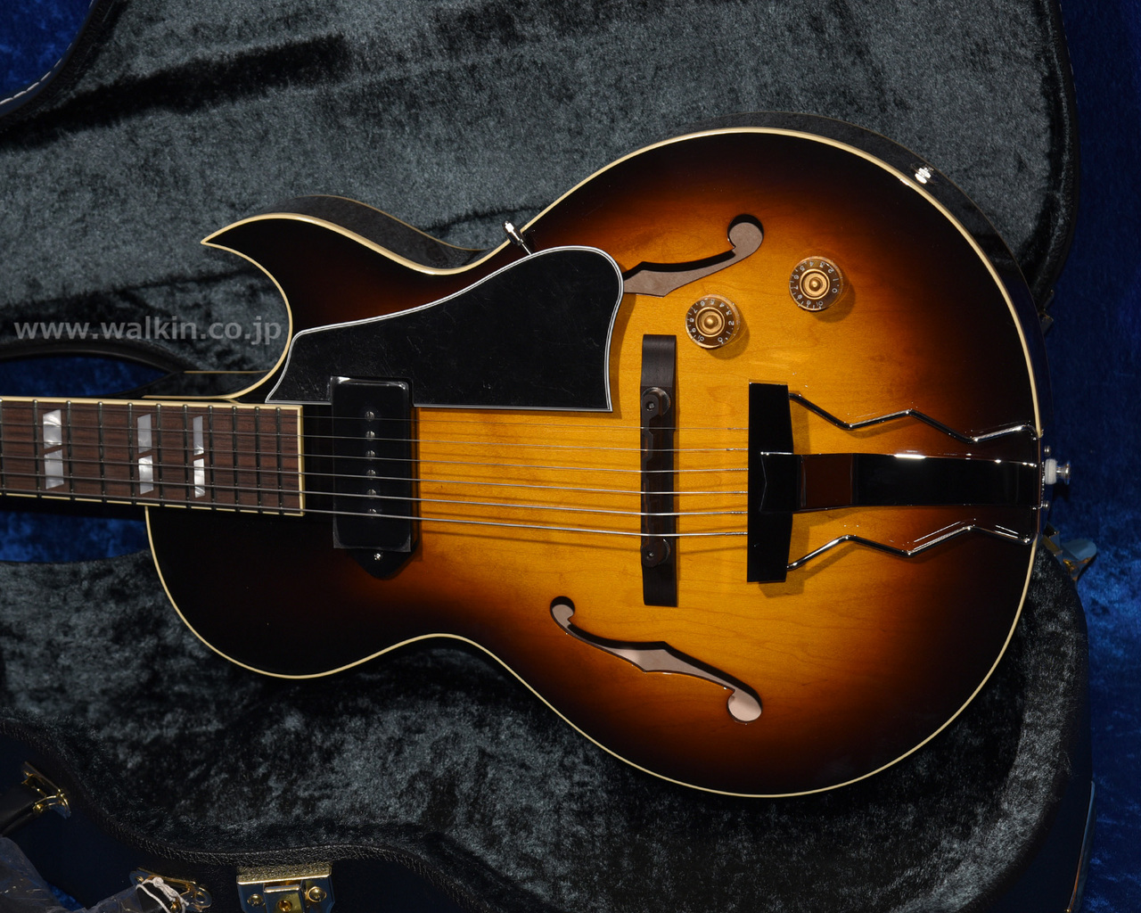 ※セール中Archtop Tribute/ AT105 Archtop Tribute AT105（中古）【楽器検索デジマート】