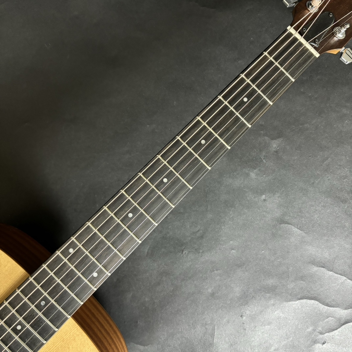 Taylor LTD EG Academy 12e エレアコギター／島村楽器オリジナル