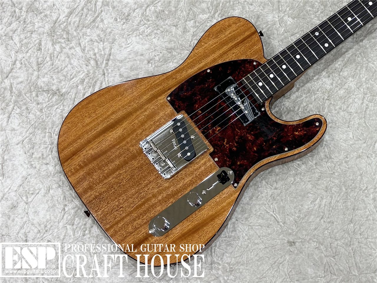 Tokai ATE-103S / Natural（新品/送料無料）【楽器検索デジマート】
