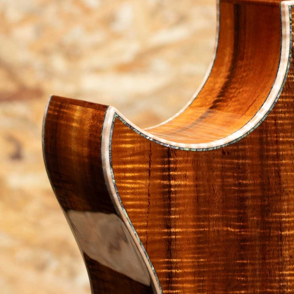 Taylor Grand Auditorium Custom -MIKI 200th Anniversary-（新品