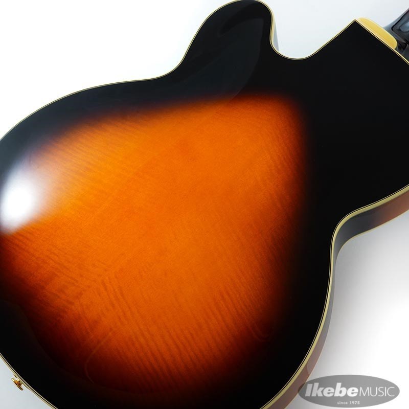 Ibanez AF200-BS [特価]（新品特価）【楽器検索デジマート】