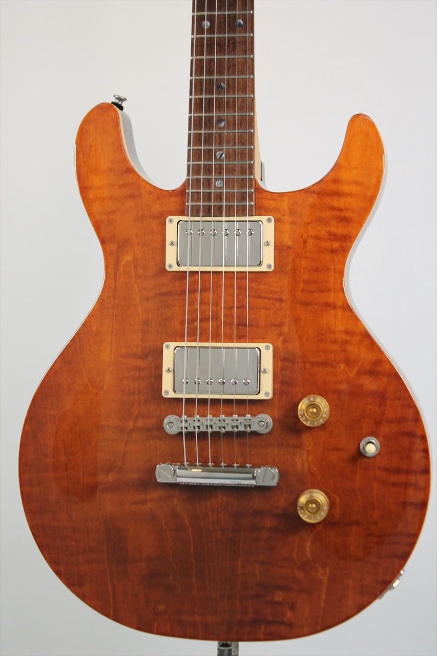 Wisdom DC5 / Brown Amber（新品/送料無料）【楽器検索デジマート】