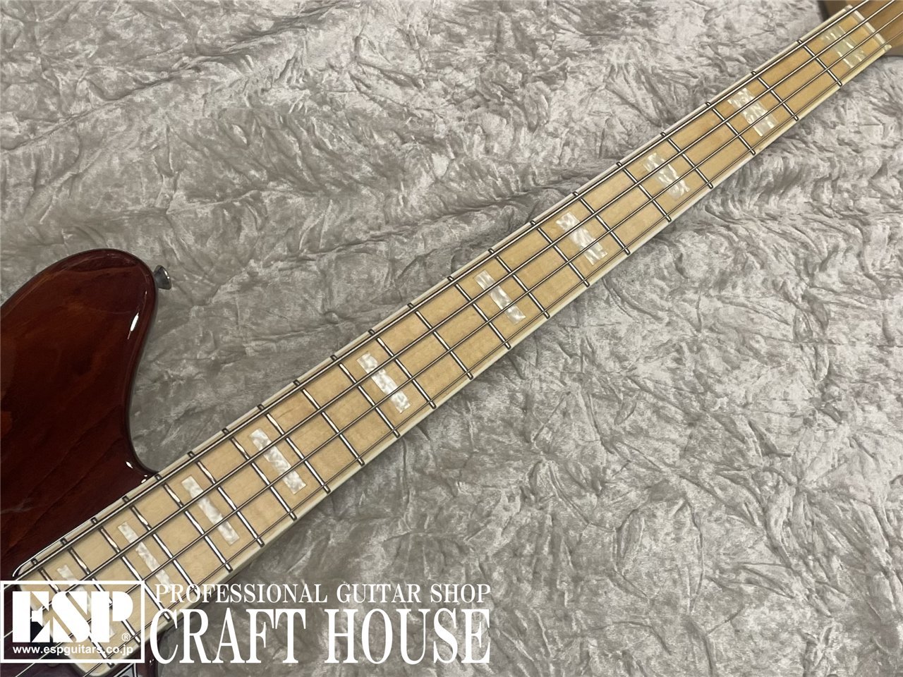 ベース EDWARDS E-GROOVER-PB See Thru Brown EDWARDS E-GROOVER-PB / See thru Brown （中古/送料無料