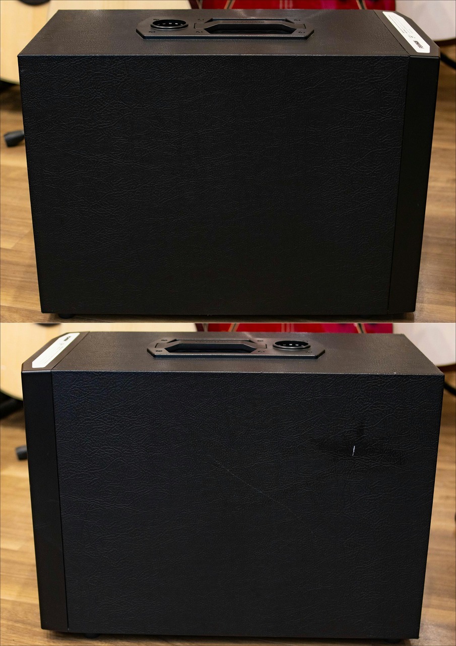 FISHMAN SA Sub 展示品（中古/送料無料）【楽器検索デジマート】