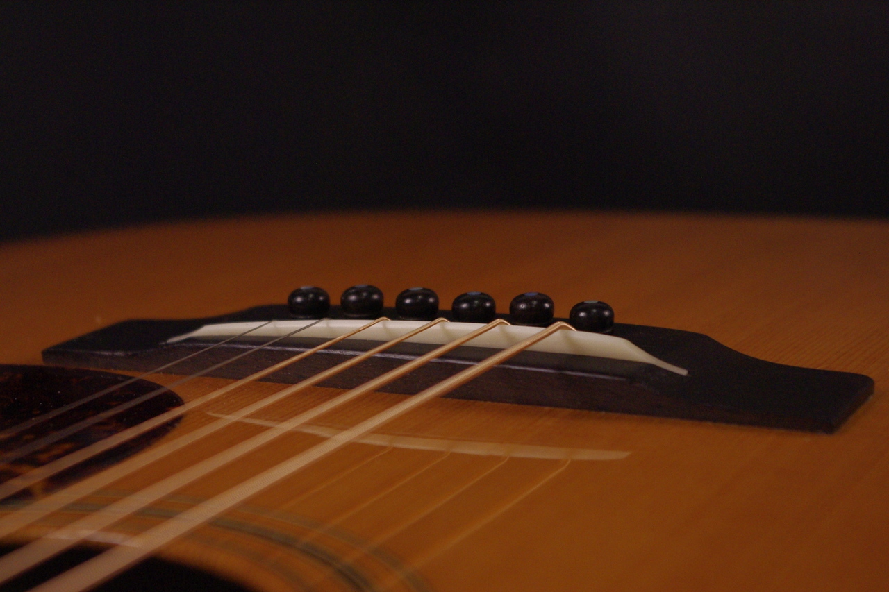 Nashville Guitar Co NGC D Style Rosewood （中古）【楽器検索