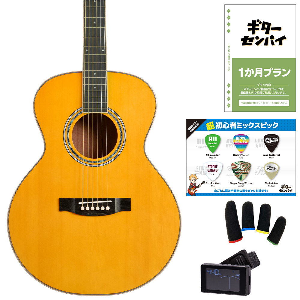 期限付き低価格 超希少　フルアコ　ビザールギター　日本製！！ 期限付き低価格 超希少 フルアコ ビザールギター 日本製