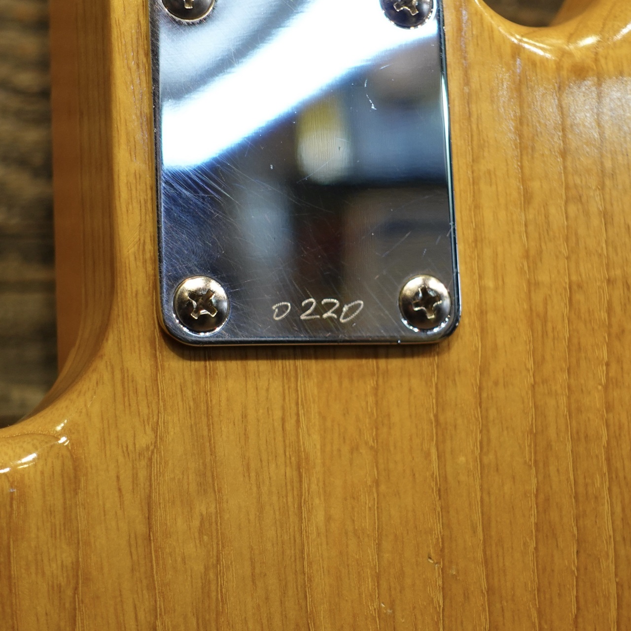 Tsubasa Guitar Workshop The EARTH（中古）【楽器検索デジマート】